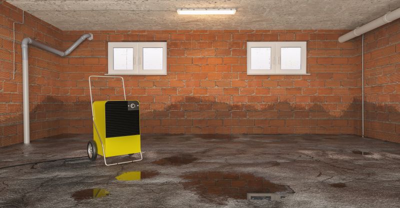 Basement Restoration Service in Chandler, AZ