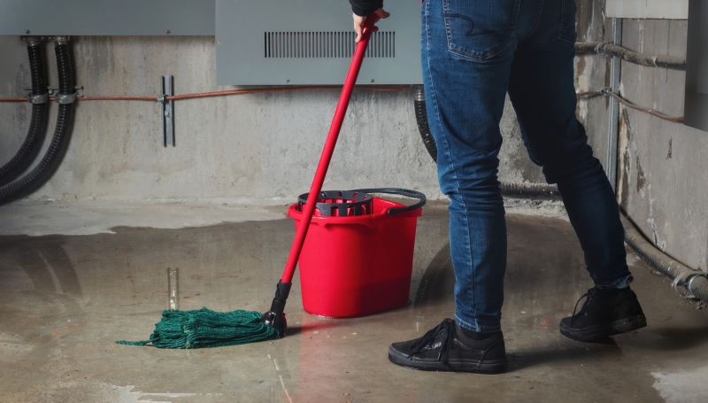 Basement Restoration Service in Mesa, AZ