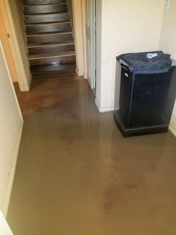 Basement Water Cleanup in Gilbert, AZ