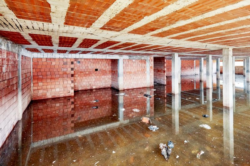 Basement Water Extraction in Phoenix, AZ