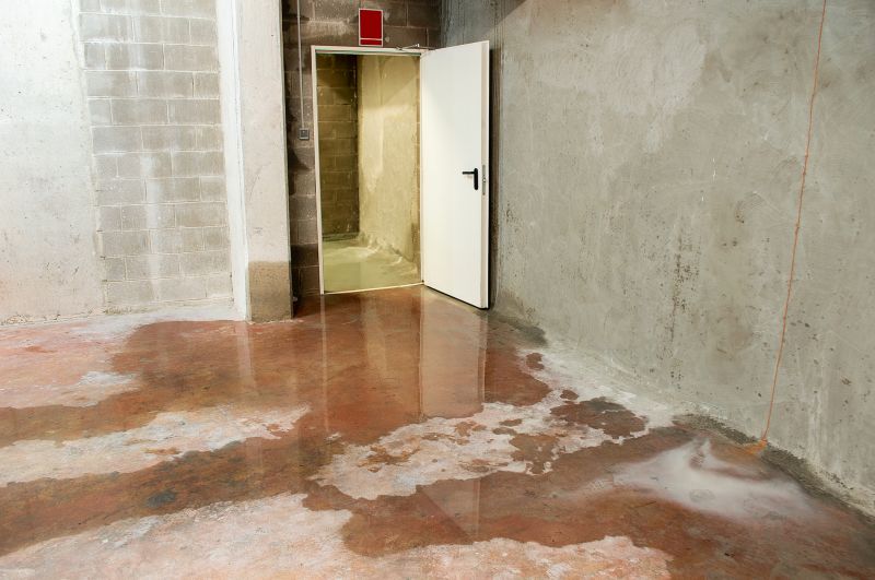 Crawl Space Water Remediation in Chandler, AZ