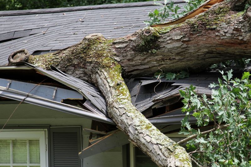 Storm Restoration Service in Gilbert, AZ
