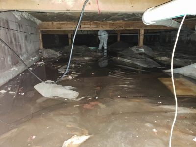 Storm Restoration Service in Mesa, AZ