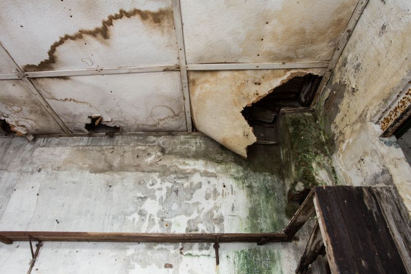 Water Damage Remediation in Phoenix, AZ