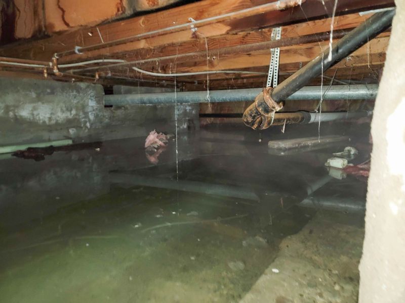 Water Damage Remediation in Mesa, AZ