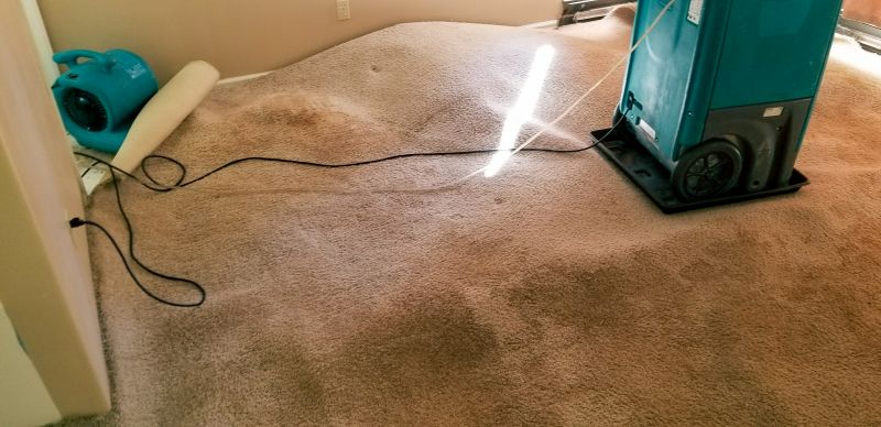 Wet Carpet Restoration in Phoenix, AZ